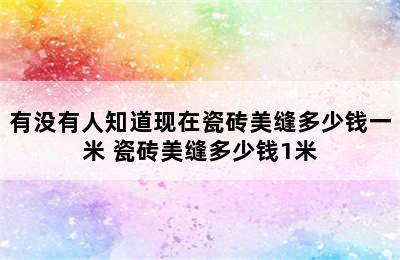 有没有人知道现在瓷砖美缝多少钱一米 瓷砖美缝多少钱1米